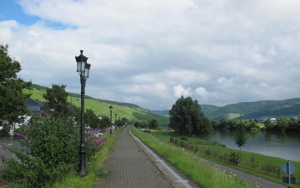 Mosel - River - Quartier 31 Lieser Exterior foto